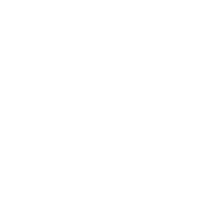Powerof1 Logo White 