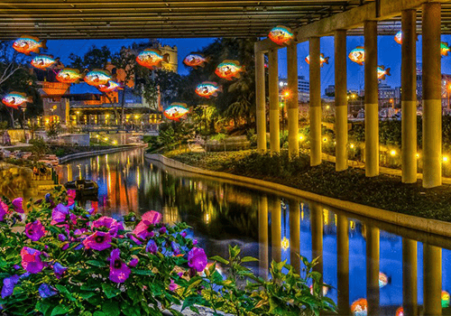 FishExhibitArtMuseumReach_slider